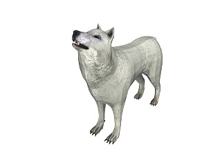 精品动物模型-狗 (19)